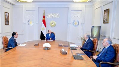 برامج تحديث القطاع الزراعي.. في اجتماع الرئيس السيسي مع وزيري الزراعة والري 