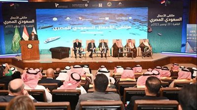 وزير التجارة يؤكد حرص الدولة على دعم الاستثمارات المحلية والأجنبية العاملة بالسوق المصري