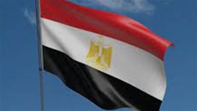 النائب أيمن طه: مصر رفضت تصفية القضية الفلسطينية وسيناء خط احمر