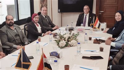 أمانة الاتصال السياسي بحماة الوطن تعقد اجتماعا لدعم وتأييد السيسي