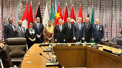 وزير الخارجية وأعضاء اللجنة الوزارية العربية الإسلامية يلتقون رئيس مجلس الأمن بنيويورك 