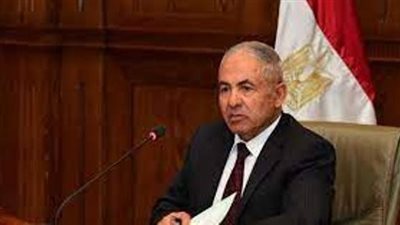 رئيس دفاع البرلمان: ندعم الرئيس السيسي لحماية الأمن القومي.. وموقفنا واضح في القضية الفلسطينية.
