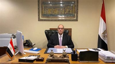 إقبال ملحوظ من المصريين بإسبانيا للتصويت في الانتخابات الرئاسية