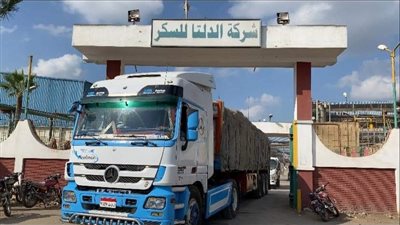 التموين: شركات إنتاج السكر التابعة للوزارة تزيد من معدلات ضخ السكر 