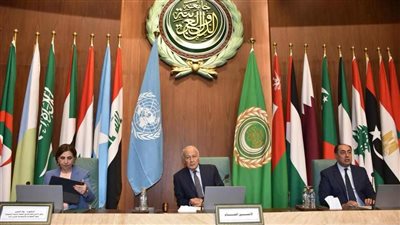 أبو الغيط: استمرار الحرب الوحشية للاحتلال هدفه تصفية القضية الفلسطينية وتهجير سكان غزة.. وهذا لن يحدث