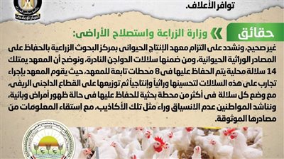 شائعة: ذبح عدد من سلالات الدواجن المصرية النادرة نتيجة عدم توافر الأعلاف