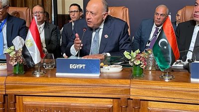 الخارجية: مصر تعلن تضامنها مع الصومال لانتهاك سيادته وسلامة أراضيه
