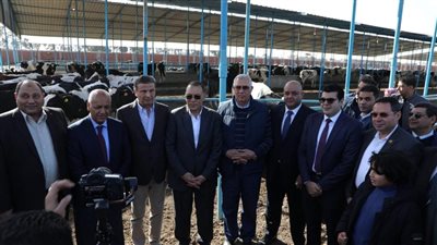 وزير الزراعة ومحافظ الشرقية يطلقان مبادرة احلم لتمويل رؤوس الأبقار  لصغار المربين