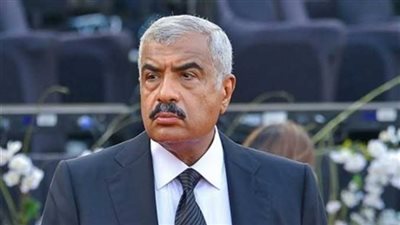انفراد| الجنايات تعاقب مقاول بالحبس.. هدد هشام طلعت مصطفى 