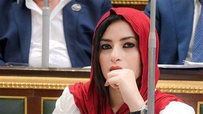 عضو لجنة الشؤون الخارجية البرلمانية تدين القتل الممنهج للصحافيين في غزة