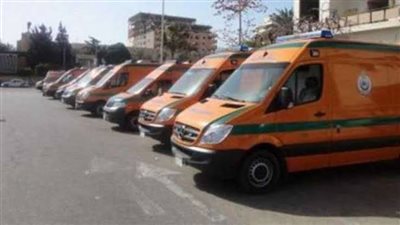 مصرع وإصابة ١٣  في تصادم ميكروباص بنقل في العين السخنة