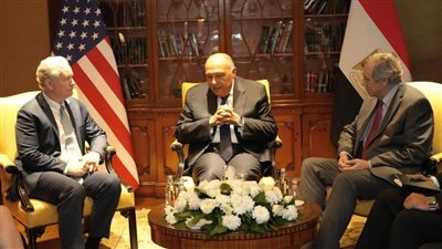 وزير الخارجية يستعرض الموقف المصري من تطورات الوضع في غزة