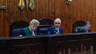 حيثيات المشدد 15 سنة لجريمة ضرب أفضى إلى موت.. وتعديل القيد والوصف