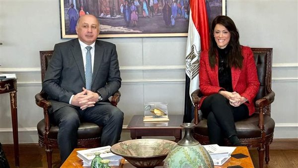 صورة توضيحية 