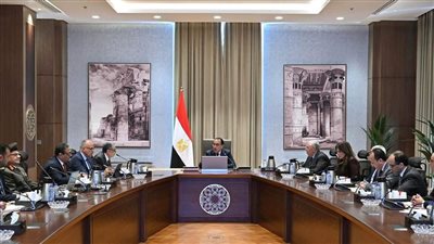 رئيس الوزراء يتابع خطوات تنفيذ مسار تنموي زراعي بشمال ووسط سيناء