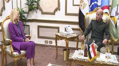 وزير الدفاع يلتقى كبير منسقي الشئون الإنسانية وإعادة إعمار غزة