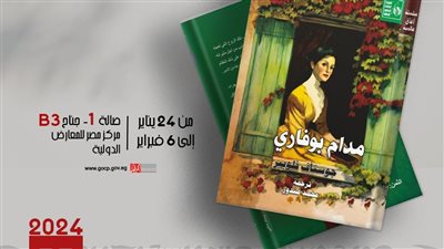 بالصور..جديد قصور الثقافة بمعرض الكتاب.. 12 عنوانًا بينها 8 روايات في سلسلة 
