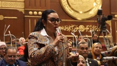 عضو الشيوخ: الحكومة تستجيب وتجري تعديلات جوهرية لقانون الولاية علي أموال القصر
