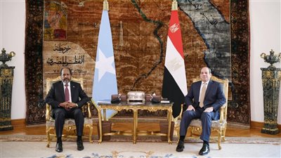  السيسي: مصر لن تسمح بأي تهديد للصومال.. وترفض اتفاقية أرض الصومال وإثيوبيا