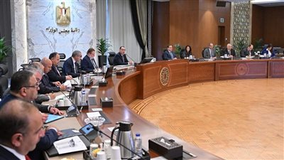 رئيس الوزراء يستعرض أبرز ملامح خطة العمل المقترحة لتنمية الصادرات المصرية