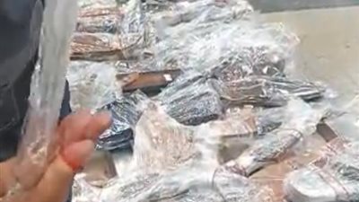 تحرير ٣١ محضر ضبط جمركي في النصف الاول من شهر يناير   
