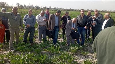 الزراعة : 185 خبيرا ومرشدا زراعيا يشاركون في الفرق الإرشادية الريفية للمحاصيل الشتوية في 21 محافظة