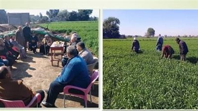 زراعة الشرقية تنظم ندوة إرشادية لمزارعي قرية كفور نجم بالإبراهيمية