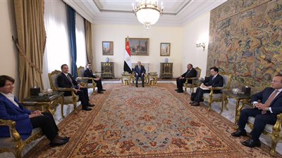 الرئيس السيسي ووزير خارجية فرنسا أكدا رفضهما لتهجير الفلسطينيين من أراضيهم