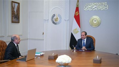 مشروعات القوانين الخاصة بالأسرة في اجتماع الرئيس السيسي  ووزير العدل 