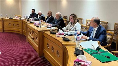 مساعد وزير الخارجية يستقبل مدير مركز الأزمات الفرنسي لتنسيق التعاون الانساني لاغاثة غزة