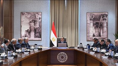 رئيس الوزراء يوجه بضرورة وضع خطة لإنتاج 100 طن من الحرير سنوياً