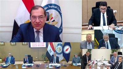 ضخ 586 مليار دولار لرفع إنتاج شركة بترول خليج السويس حتى 2025