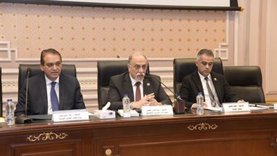 التضامن... اجتماع لذوي الإعاقة بمجلس النواب