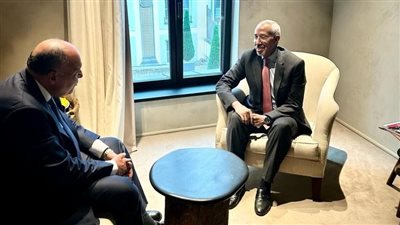 وزير الخارجية يؤكد دعم مصر لموريتانيا خلال فترة رئاستها للاتحاد