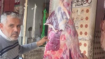 البحيرة: ضبط كميات من اللحوم والدواجن والأسماك غير صالحة للاستهلاك الآدمي
