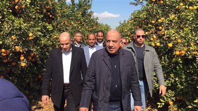 وزير قطاع الأعمال العام: التوسع في زراعة محصولي القمح وبنجر السكر بالصالحية الجديدة