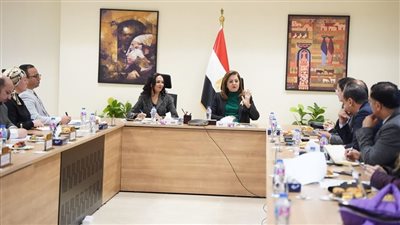 وزيرة التخطيط تتابع الموقف التنفيذي لمشروع تنمية الأسرة