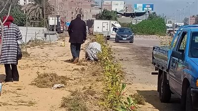 محافظ الغربية يتابع الجهود المكثفة لزراعة الأشجار المثمرة والزينة بالطرق