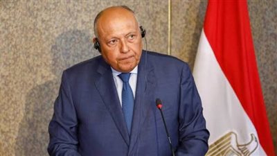 شكرى يبحث مع وزيرة خارجية سلوفينيا سبل وقف الحرب الدائرة على غزة
