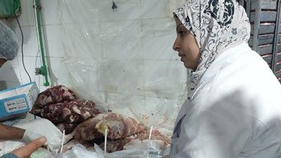 ضبط  9 طن لحوم ودواجن وأسماك مجهولة المصدر وغير صالحة للإستهلاك الآدمي بالشرقية