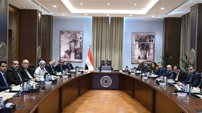 الحكومة تبدأ الإجراءات التنفيذية لطرح إدارة وتشغيل المطارات بشركات القطاع الخاص