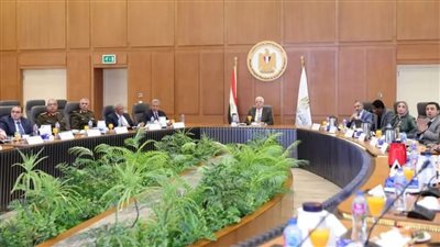 وزير التعليم العالي يرأس اجتماع مجلس المراكز والمعاهد البحثية