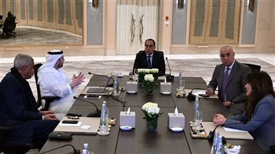 مجلس الوزراء: أكبر المكاتب الاستشارية العالمية تبدأ إعداد مخططات مدينة 