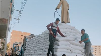 محافظ أسيوط: ضبط 20 طن سكر و17 طن أرز بأحد المخازن غير المرخصة بقرية منقباد