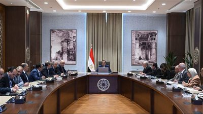 مجلس الوزراء يتابع الموقف التنفيذي لمشروعات تنمية سيناء 