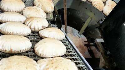 ضبط 250 عبوة سلع غذائية منتهية الصلاحية بالبحيرة