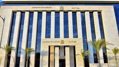 وزارة العمل تُصدر تقريرًا بشأن جهودها لمواجهة الهجرة غير الشرعية