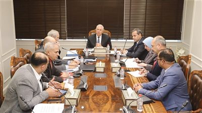 وزير الزراعة يبحث سبل تعزيز صادرات مصر من البطاطس