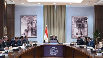 مدبولي يتابع الإفراج الجمركي عن البضائع في الموانئ وتطبيق منظومة الشحن المُسبق