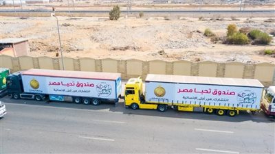 صندوق تحيا مصر يطلق 94 شاحنة تزن 1504 طن لإغاثة أهل غزة